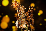 Dark Souls Paladin