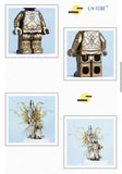 Pre-order Dark Souls Paladin