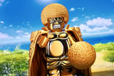 Pre-order One Piece Sengoku