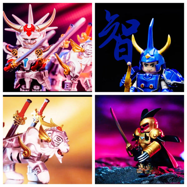 Ronin Warriors Series