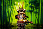 Minamoto no Yoshitsune
