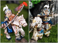 Pre-order Zhao Yun V1 / V2