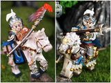 Pre-order Zhao Yun V1 / V2