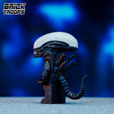 Pr-order Xenomorph Drone (Full custom body)
